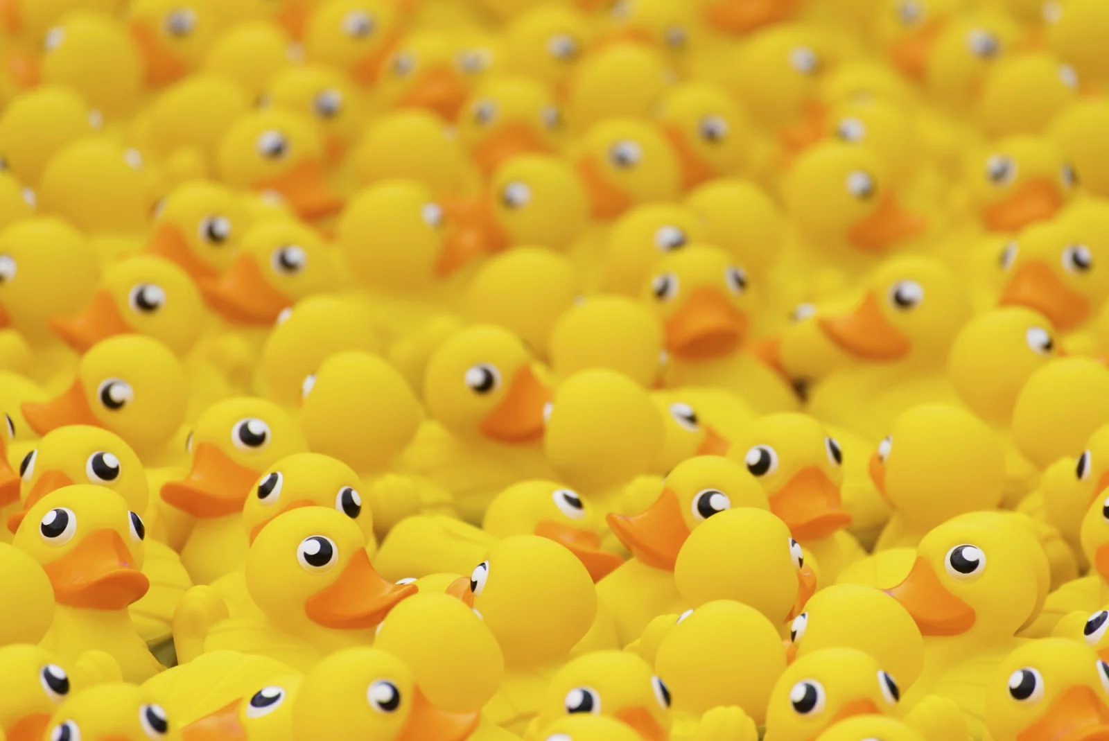 Major Tom sponsort de Duck Race in Gent