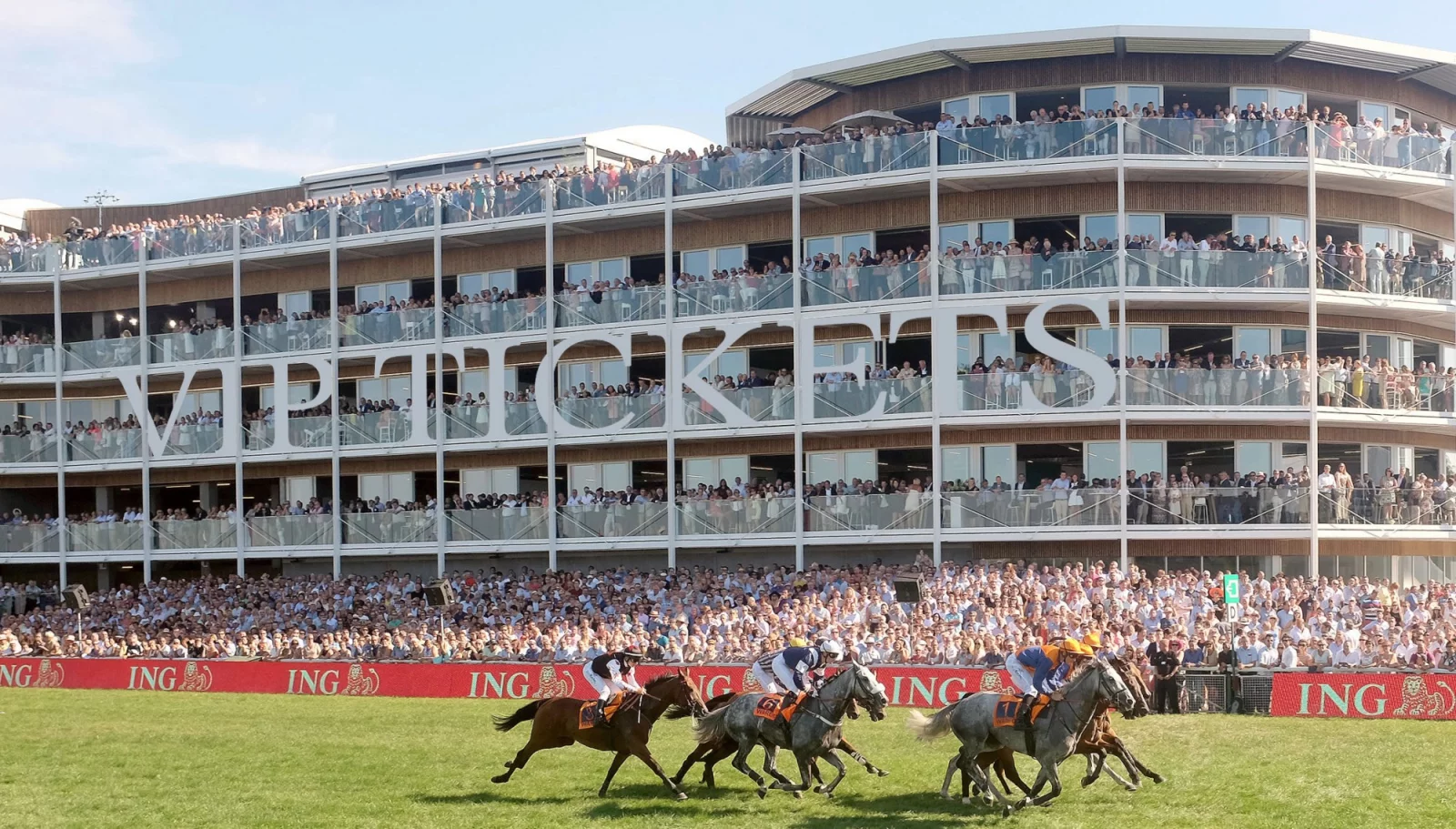 Horses at full gallop in front of the packed stands and VIP balconies of the Waregem racecourse