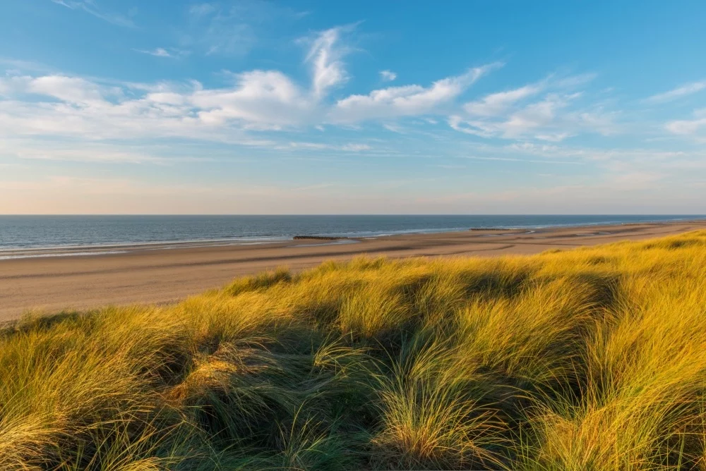 De duinen en het strand van Oostduinkerke