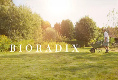 Sunny meadow with trees and the word Bioradix