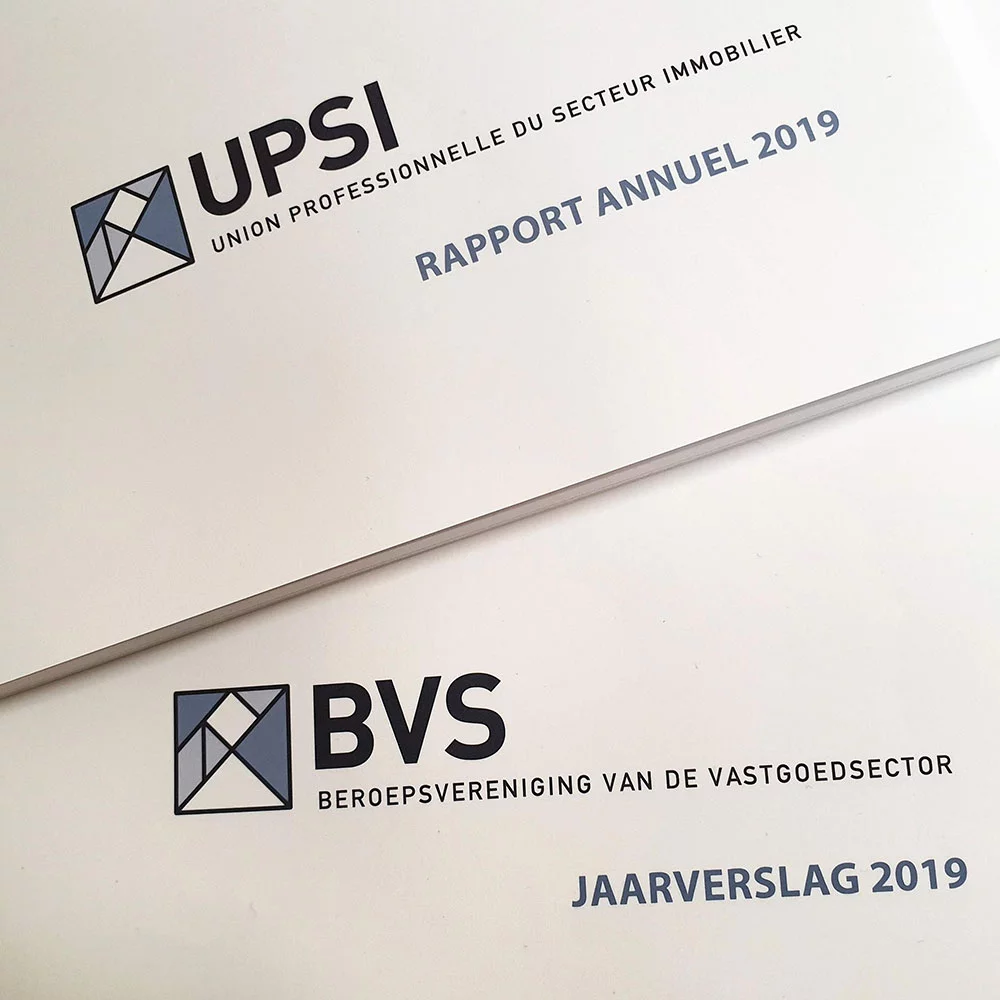 The annual reports of UPSI and BVS, with the tangram logo of the professional association